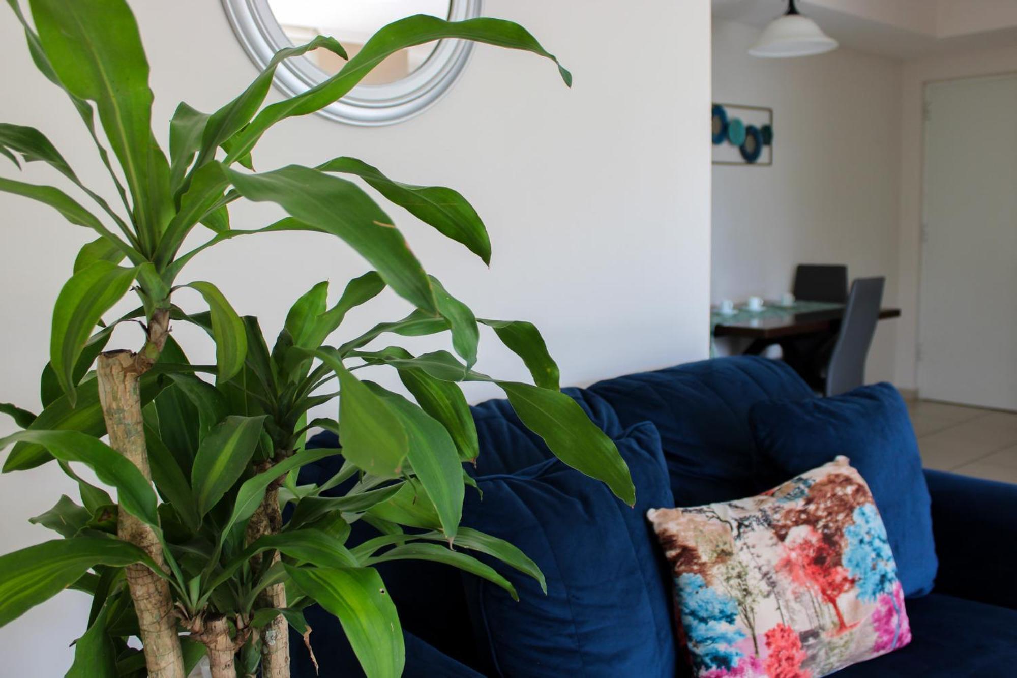 Great Family Apartment In Tegucigalpa Extérieur photo